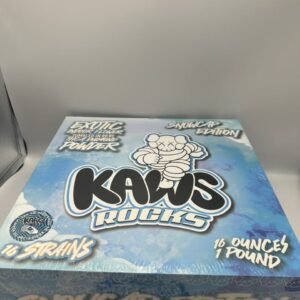 Kaws Rocks