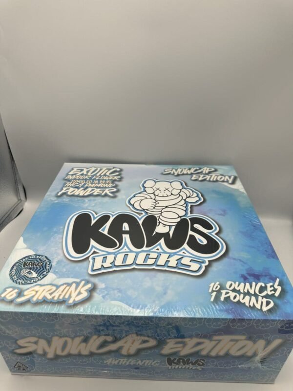 Kaws Rocks